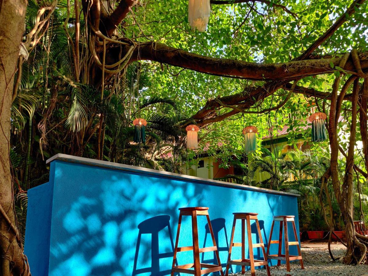 Piggy Calangute By Urban Nomads - Dorms & Pvt Rooms GOA المظهر الخارجي الصورة