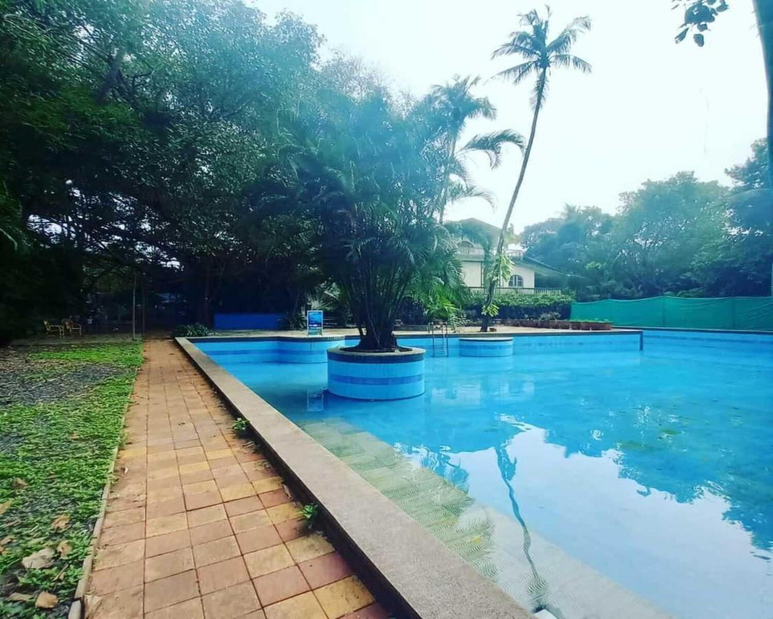 Piggy Calangute By Urban Nomads - Dorms & Pvt Rooms GOA المظهر الخارجي الصورة